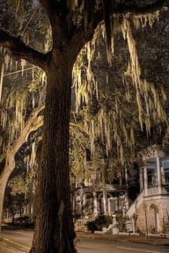 Late Night Savannah Haunted Pub Crawl