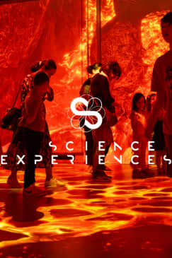 Science Expériences: Immersive Science Museum in Lyon