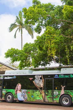 Kuranda Rainforestation with Skyrail Rainforest Cable