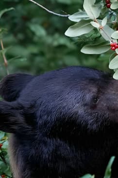 From Calgary: explore Moraine Lake, Lake Louise, Banff