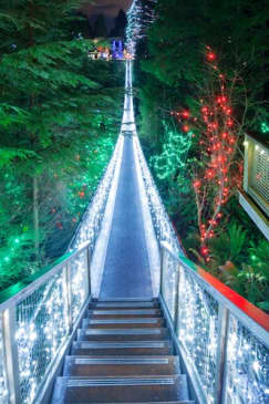 Vancouver: Christmas Tour with Capilano Canyon Lights