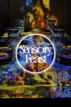 Sensory Feast: A Magical Dining Experience