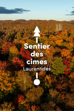 Sentier des cimes Laurentides - Day tickets