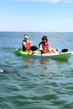 Small Group Dolphin Kayak Eco-Tour