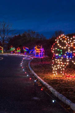 Winter Glow Experience: A Drive-Thru Holiday Light Show - Waitlist