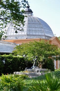 New Orleans: City Park Exploration Game