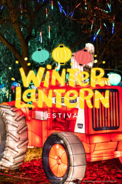 Winter Lantern Festival (Tysons, VA) - Waitlist