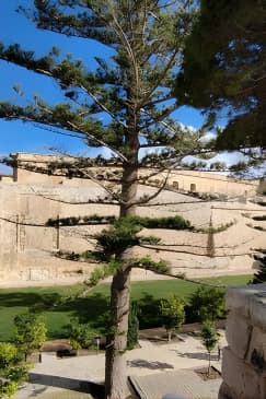 Best of Mdina and Rabat Walking Tour
