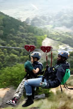 Zipline Cape Town - From Foot of Table Mountain Reserve 