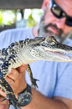 Florida Everglades Adventure Package