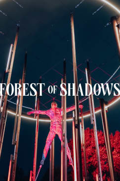 Forest of Shadows: An Immersive Dark Tale