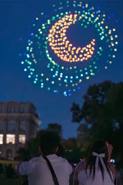 Van Gogh's Starry Nights at NYBG