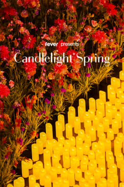 Candlelight Spring: Coldplay & Imagine Dragons