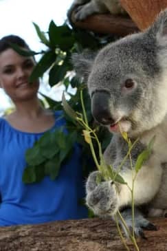 Taronga Zoo + Sydney Harbour Hopper Pass (24/48h)