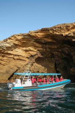 Hunter Coastal Adventure Tour by Boat from Newcastle