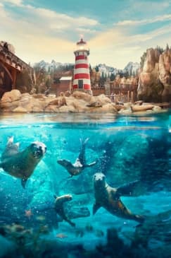 SeaWorld Abu Dhabi