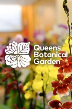 Taiwan: A World of Orchids Exhibition at Queens Botanical Garden