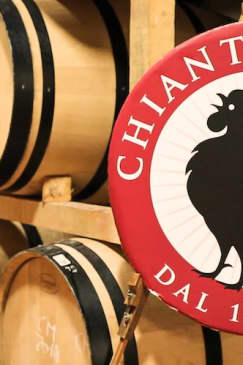 ﻿Chianti region: Day trip from Florence + Vineyard tour