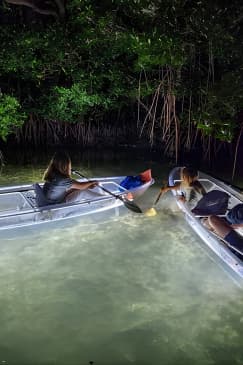 Clear Kayak LED Night Glass Bottom Tour - Siesta Key, FL