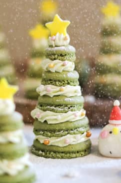 Festive Holiday French Macarons in Charlotte
