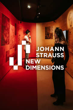 Johann Strauss - New Dimensions