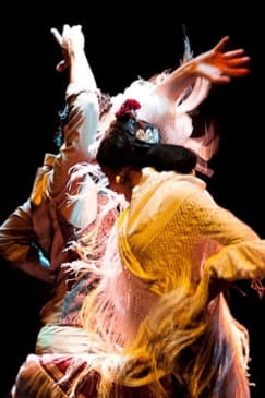 Flamenco Dance Museum: Entrance + Authentic Flamenco Show