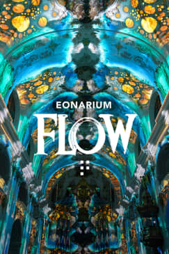 Eonarium FLOW: An Immersive Light Show