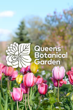 Queens Botanical Garden