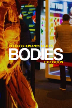 Bodies Evolution en Málaga