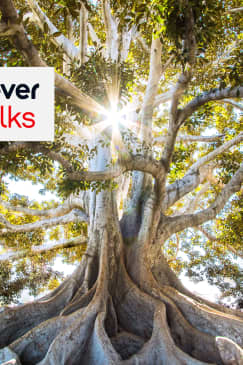 Charlas sobre la fiebre: Los secretos del surgimiento de la civilización - Lista de espera