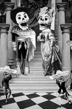 ﻿Night of the Franz | Surreal Dance