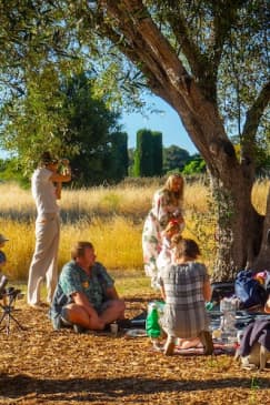 Filoli Gardens Summer Nights