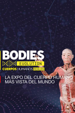 Bodies Evolution en Málaga