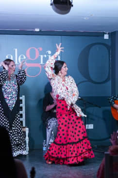 Alegría Málaga: Espectáculo Flamenco