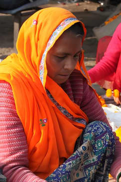 Take in the Beauty of an Early Morning with Fresh Flowers 