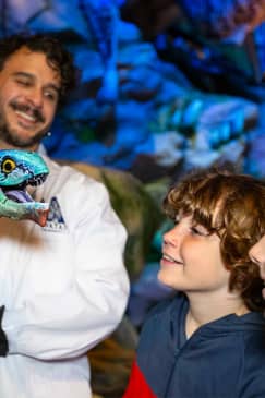 Avatar: The Experience