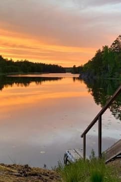 Evening Hike in Tyresta National Park