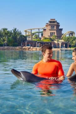 Atlas Village - Dolphin Experiences