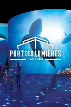 Wunderwelt Ozean - Ein immersiver Tauchgang