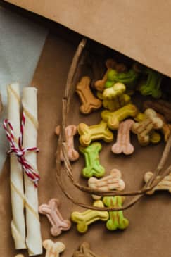 Cook for Your Pup: Nutritious Meals & Treats in DC