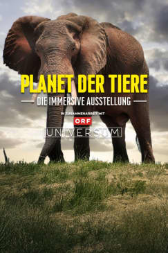Planet der Tiere - Die immersive Ausstellung