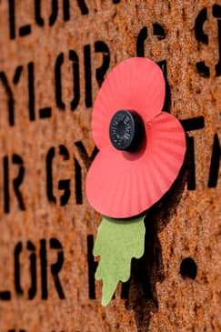 A Story of Discovery, Education and Remembrance