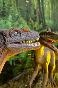 Viven Dinosaurios San Luis