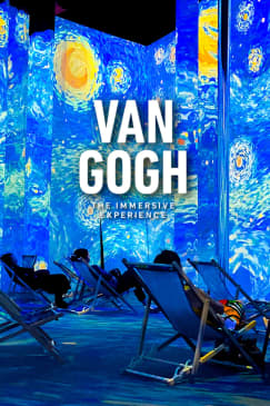 Yoga at Van Gogh: The Immersive Experience