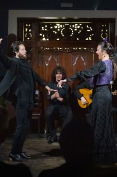 Espectáculo de flamenco íntimo en el corazón de Triana