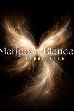 White Butterfly Experience