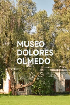 Museo Dolores Olmedo