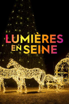Lumières en Seine : le parcours illuminé et musical des fêtes de fin d’année