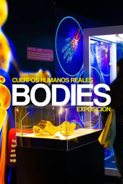 Exposición Bodies en Madrid