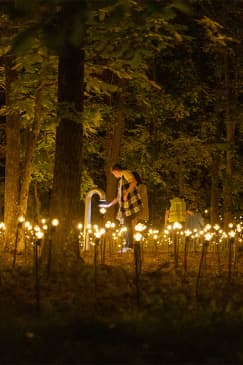 Rafael Lozano-Hemmer: Incomplete Garden